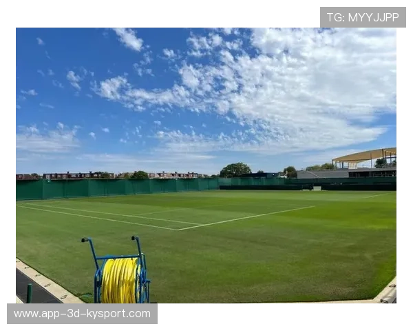 卢顿镇主场气势如虹，草地球场冲击前列，卢登vn