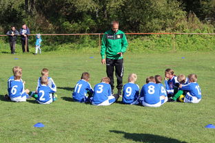 开云官网登录-中国足球战术模块组合搭配分析，国足战术风格