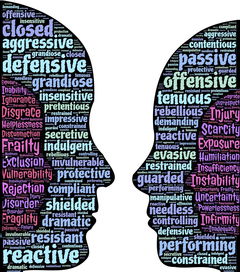 开云备用-大学生运动行为与自我效能感的交互关系研究，运动自我效能感量表